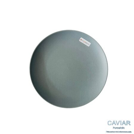 Assiette 21 cm T-03